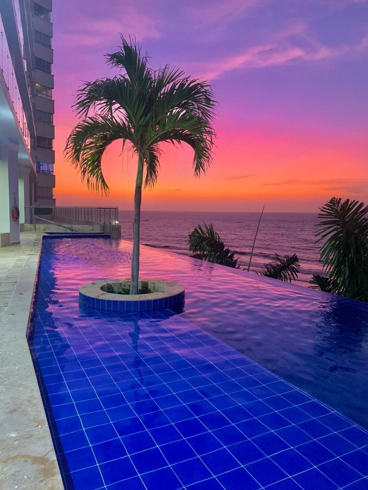 Apartamento The Luxury In *